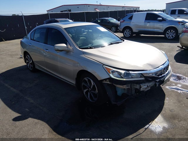 Salvage Honda Accord Image