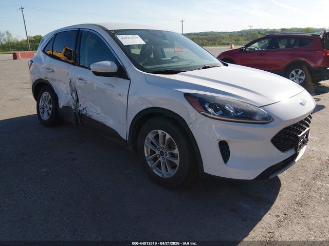 Salvage Ford Escape Image