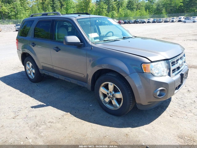 Salvage Ford Escape Image