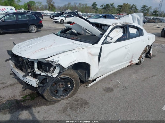 Dodge Charger Police Rwd