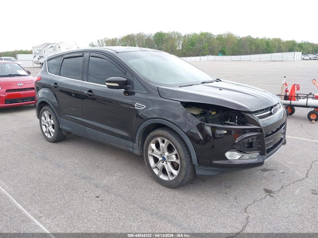 Salvage Ford Escape Image