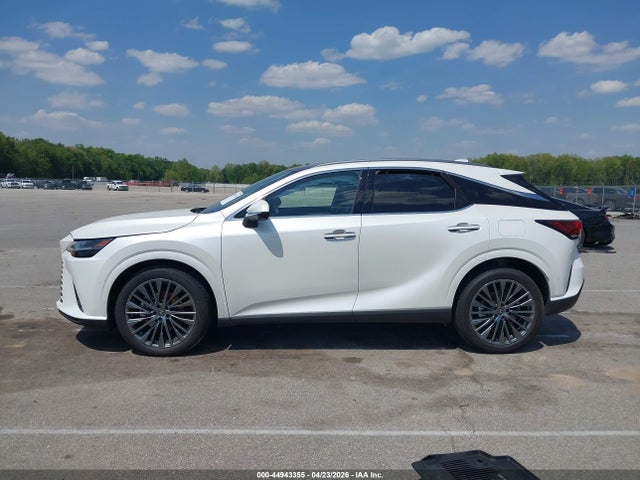 Lexus RX Luxury