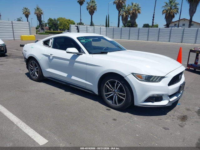 Salvage Ford Mustang Image