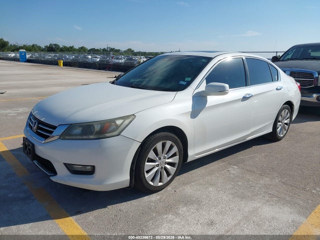 Honda Accord Ex-l V-6
