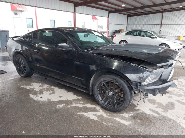 Salvage Ford Mustang Image