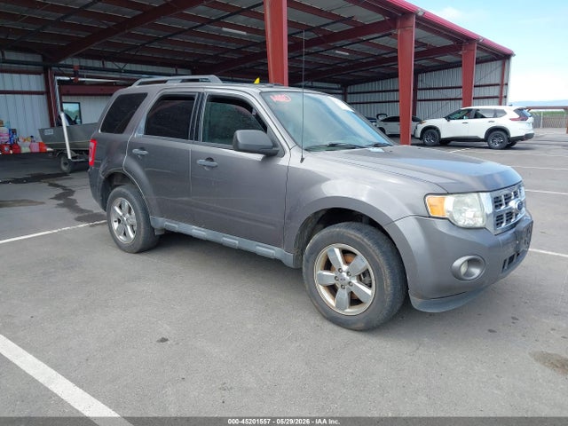 Salvage Ford Escape Image