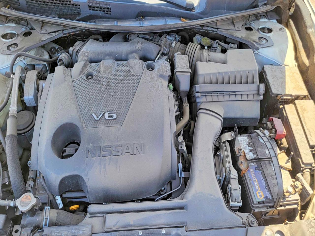 Nissan Maxima Platinum