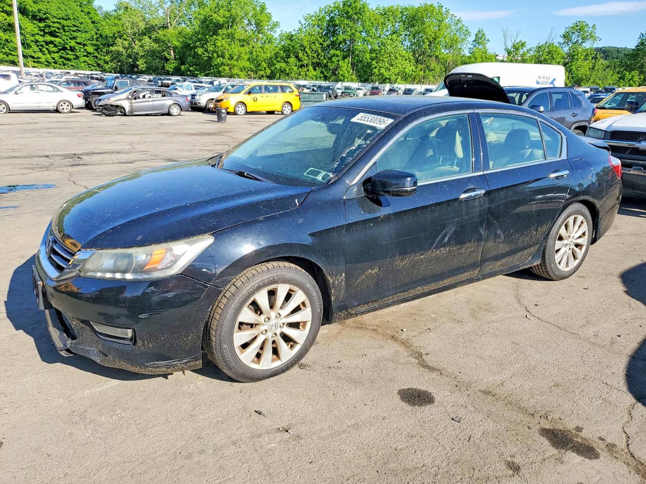 Salvage Honda Accord Image