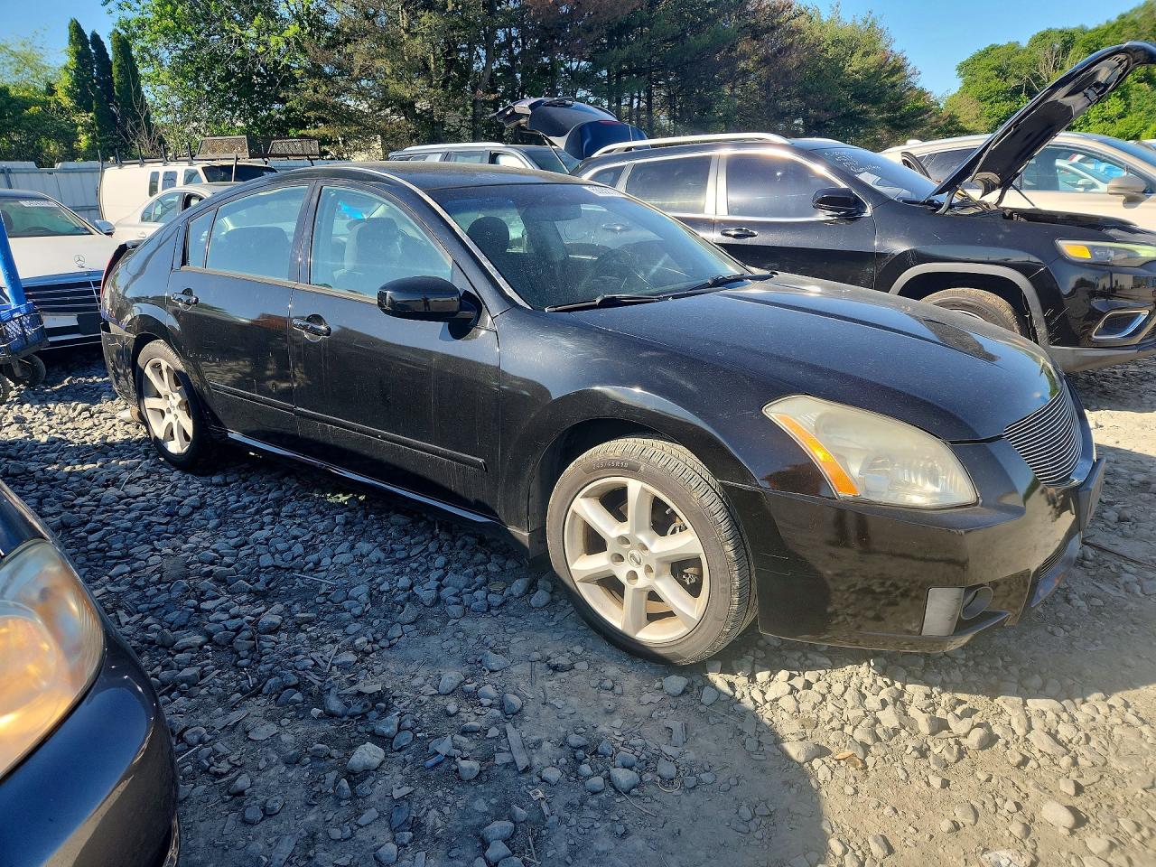Nissan Maxima 3.5 Se