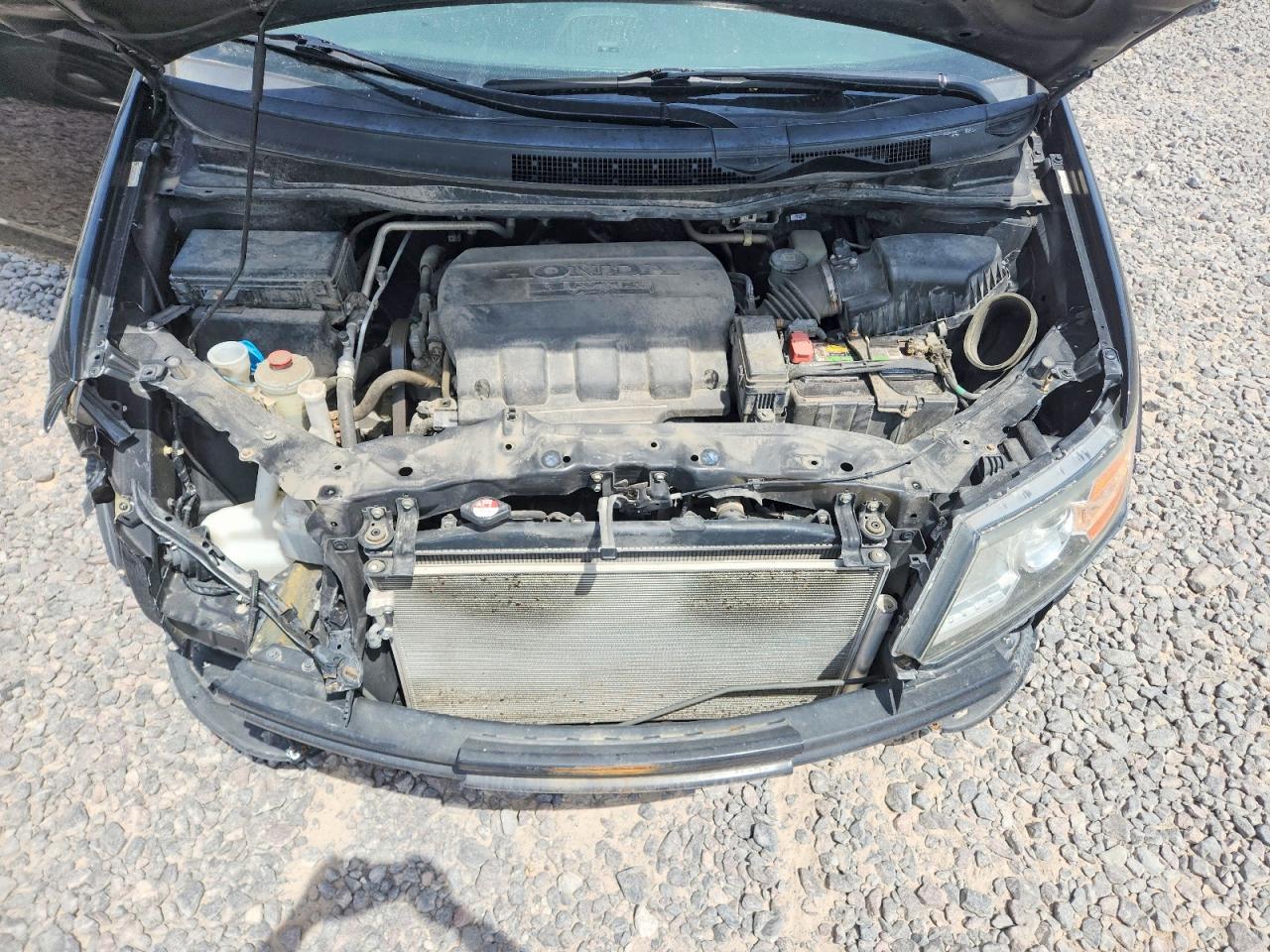 Honda Odyssey Exl