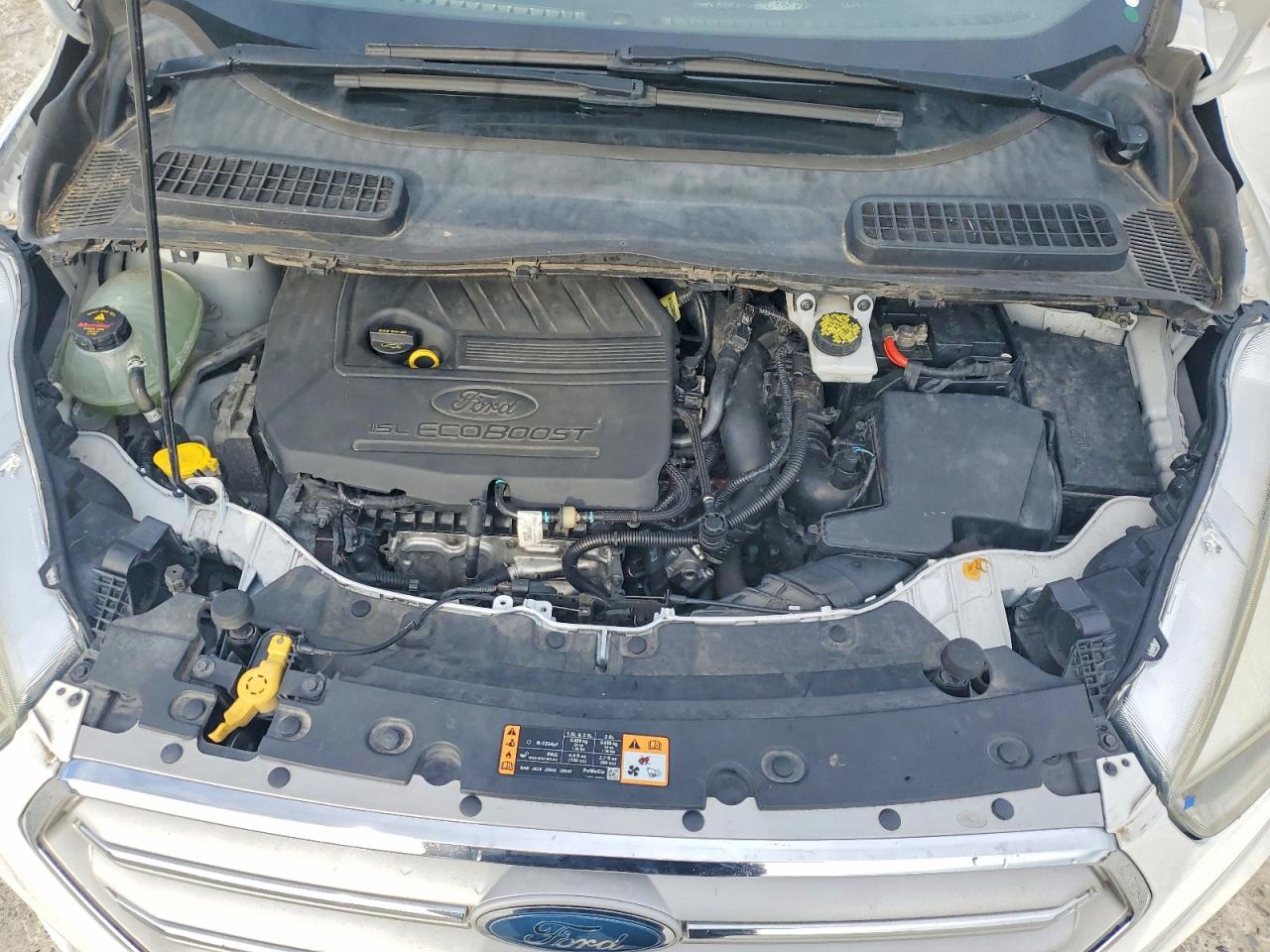 Ford Escape Se