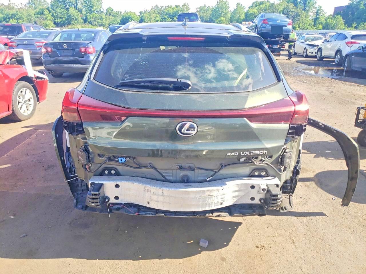 Lexus Other Premium