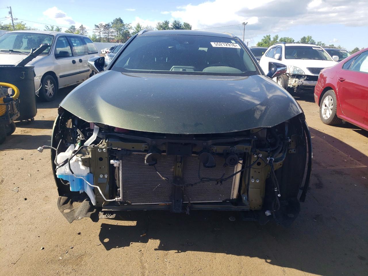 Lexus Other Premium