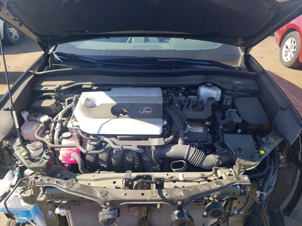 Lexus Other Premium