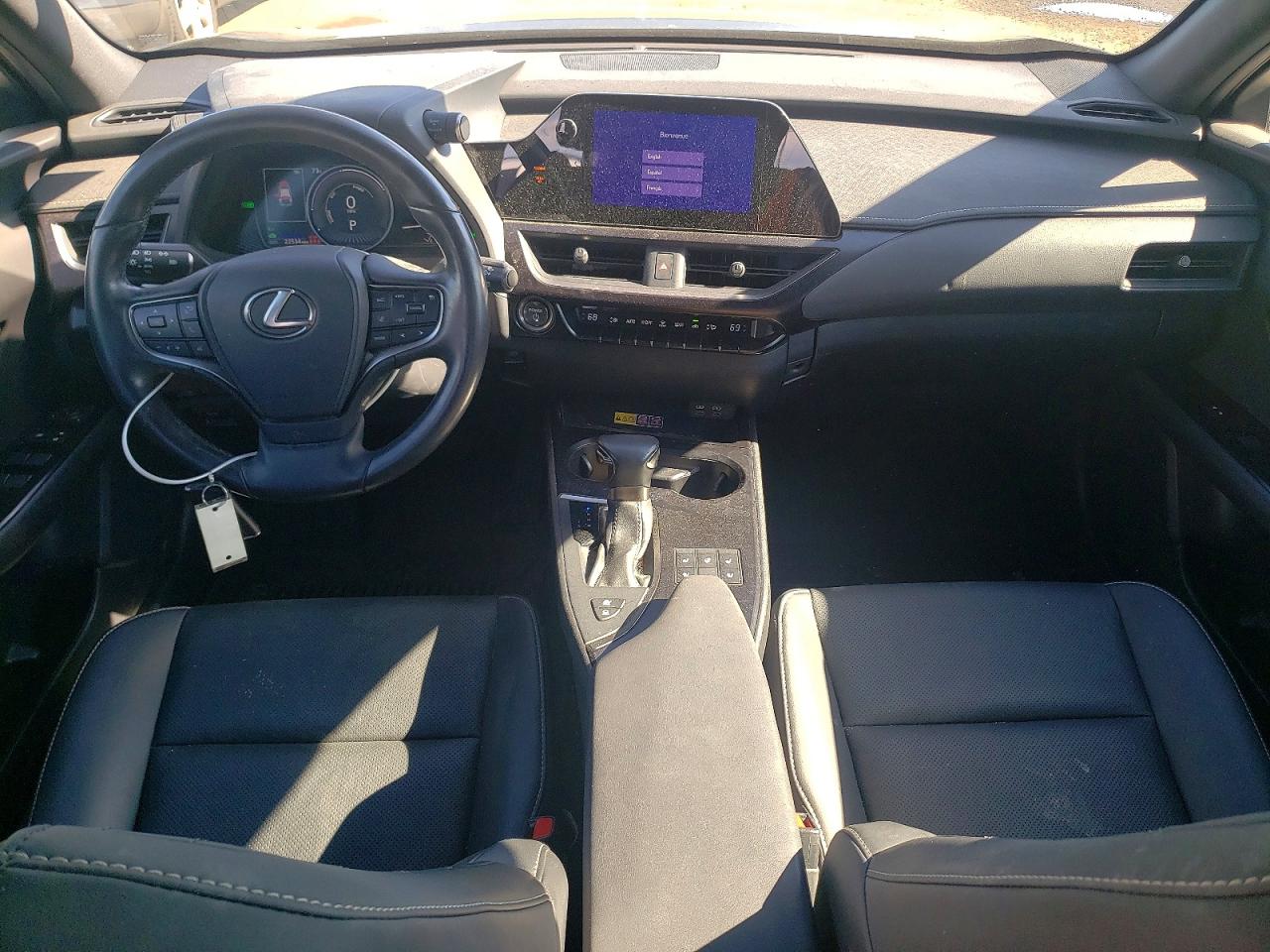 Lexus Other Premium