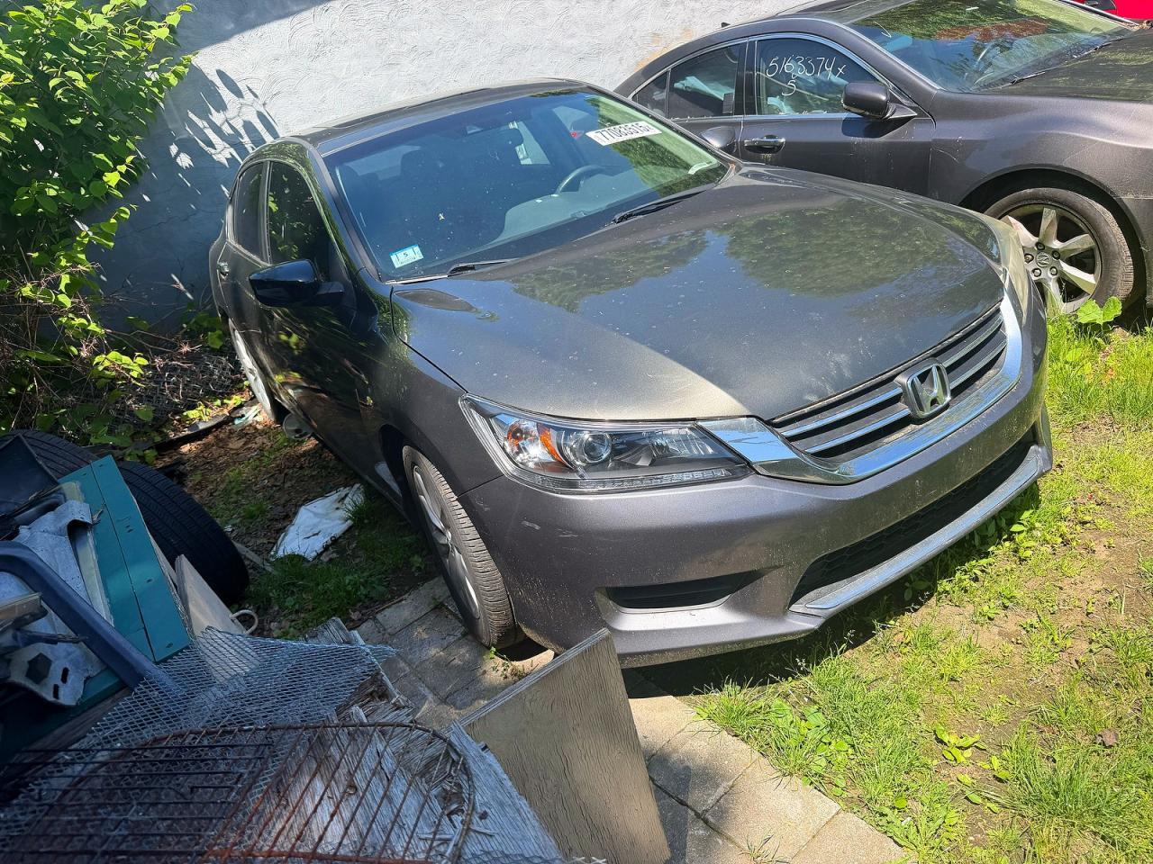 Salvage Honda Accord Image
