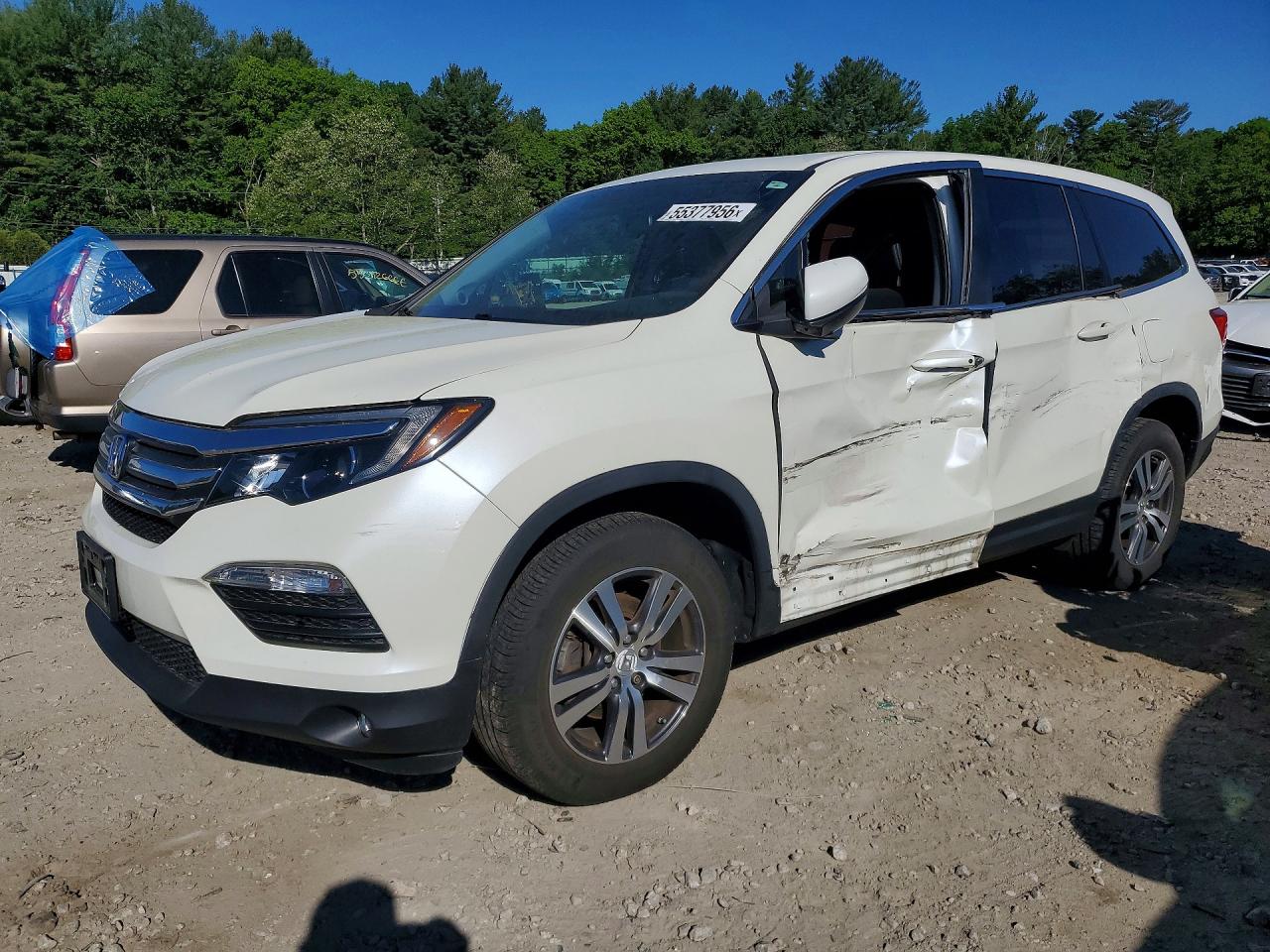 Salvage Honda Pilot Image