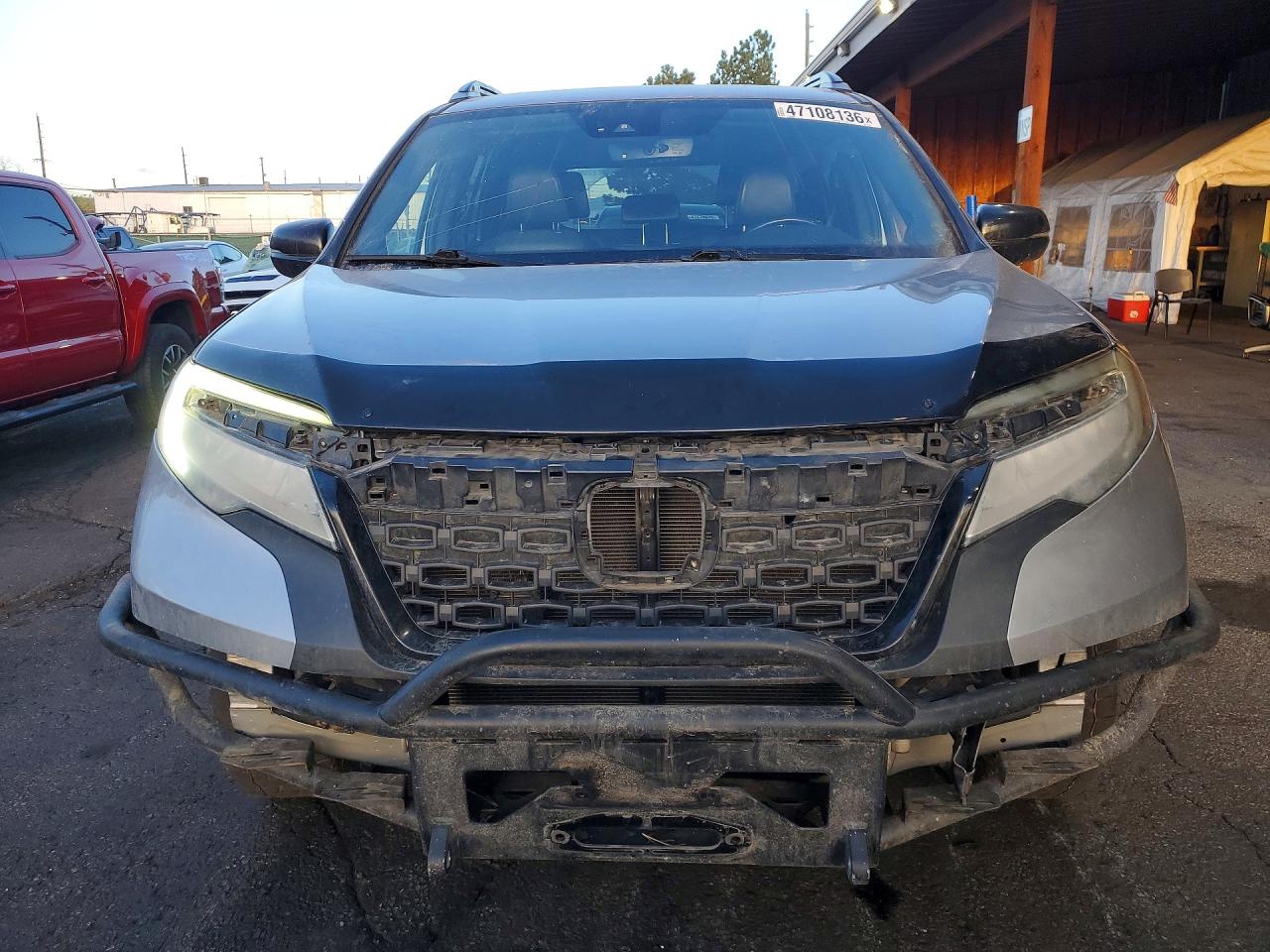 Honda Passport Elite