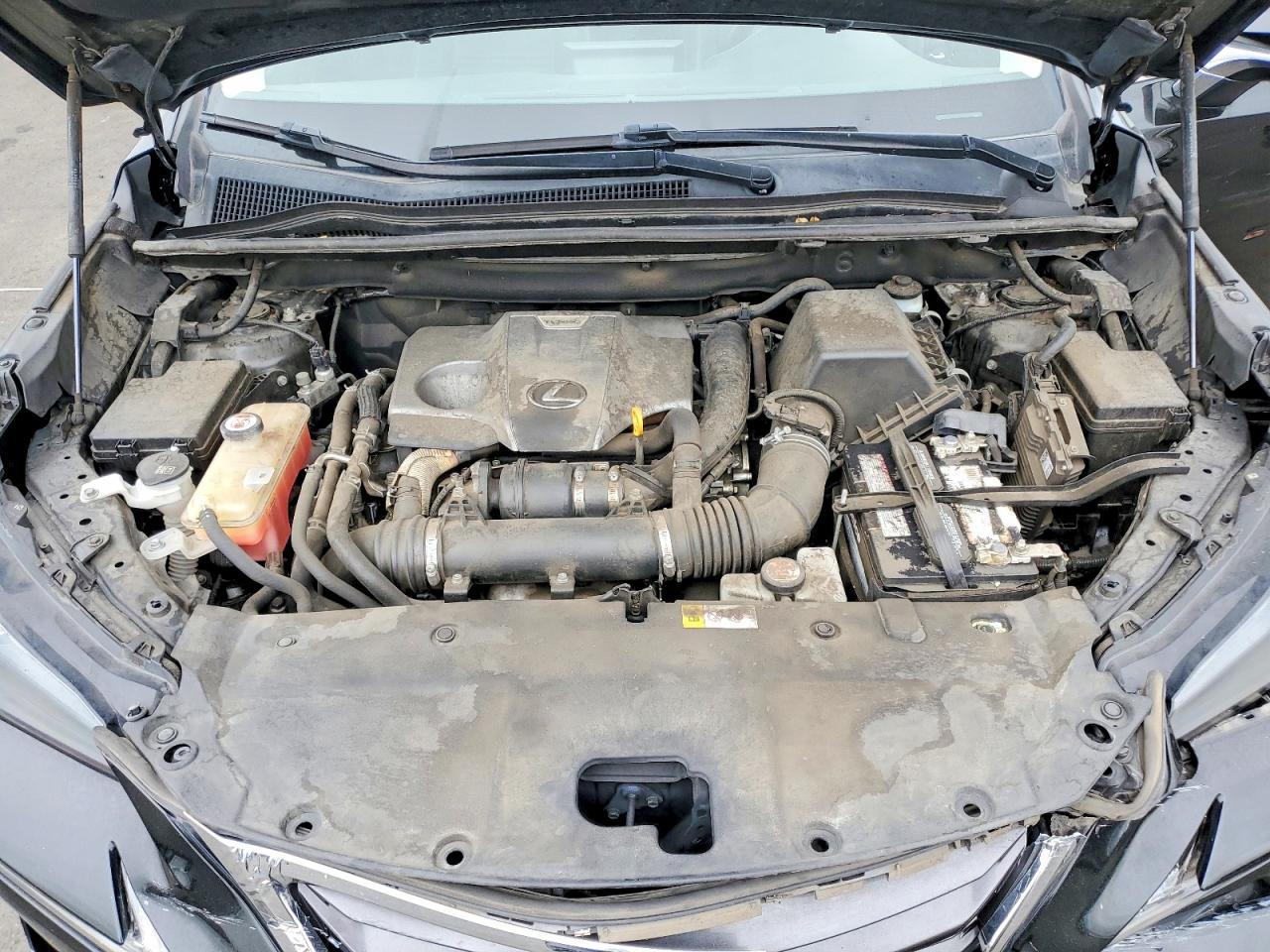 Lexus NX Base