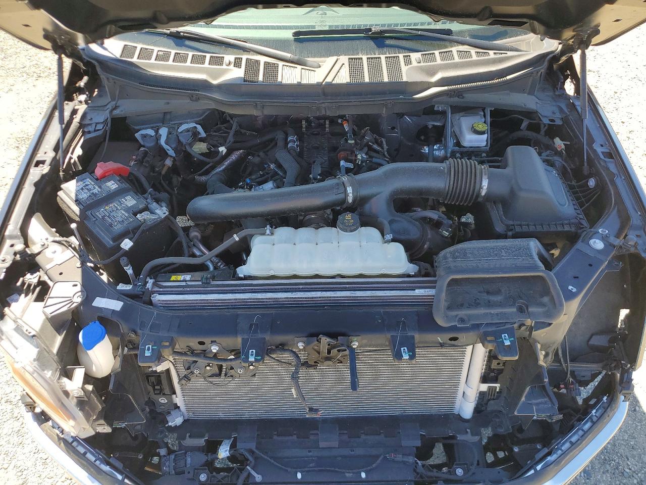 Ford F-150 Xlt