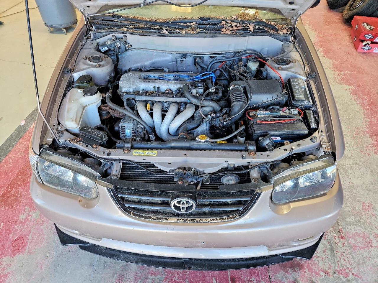 Toyota Corolla Ve