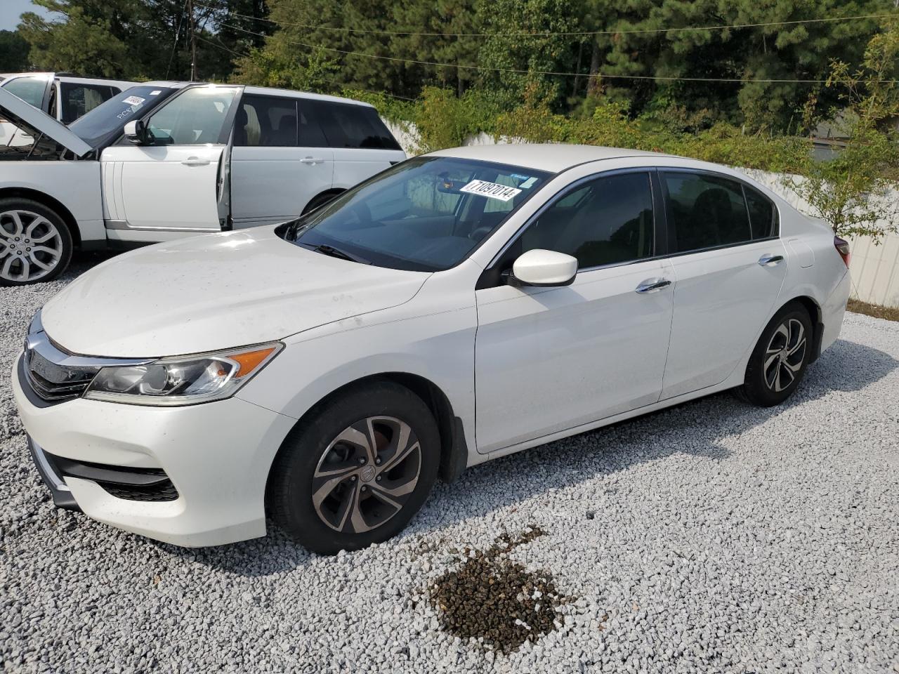 Salvage Honda Accord Image