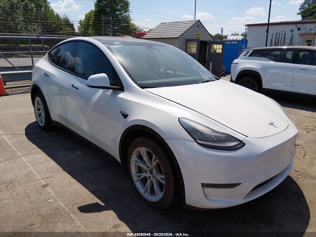 Salvage Tesla Model Y Image