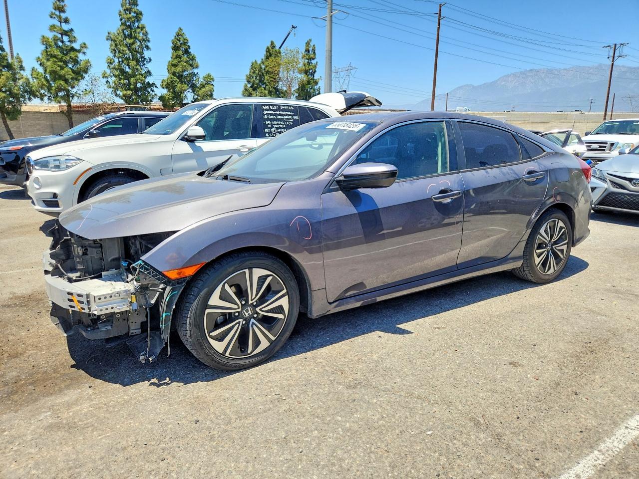Salvage Honda Civic Image
