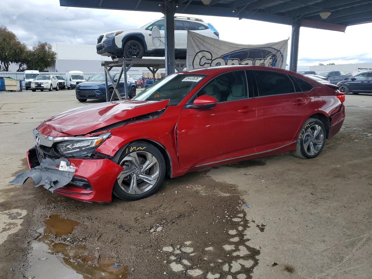 Salvage Honda Accord Image