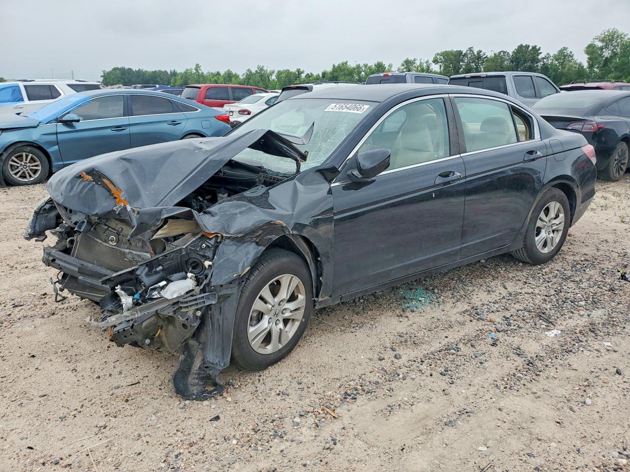 Salvage Honda Accord Image