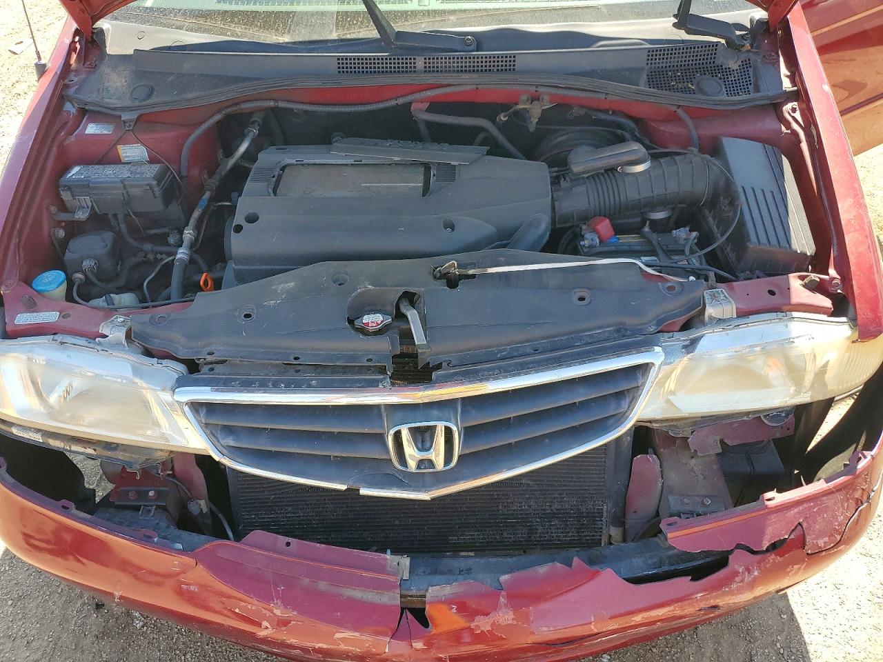 Honda Odyssey Exl