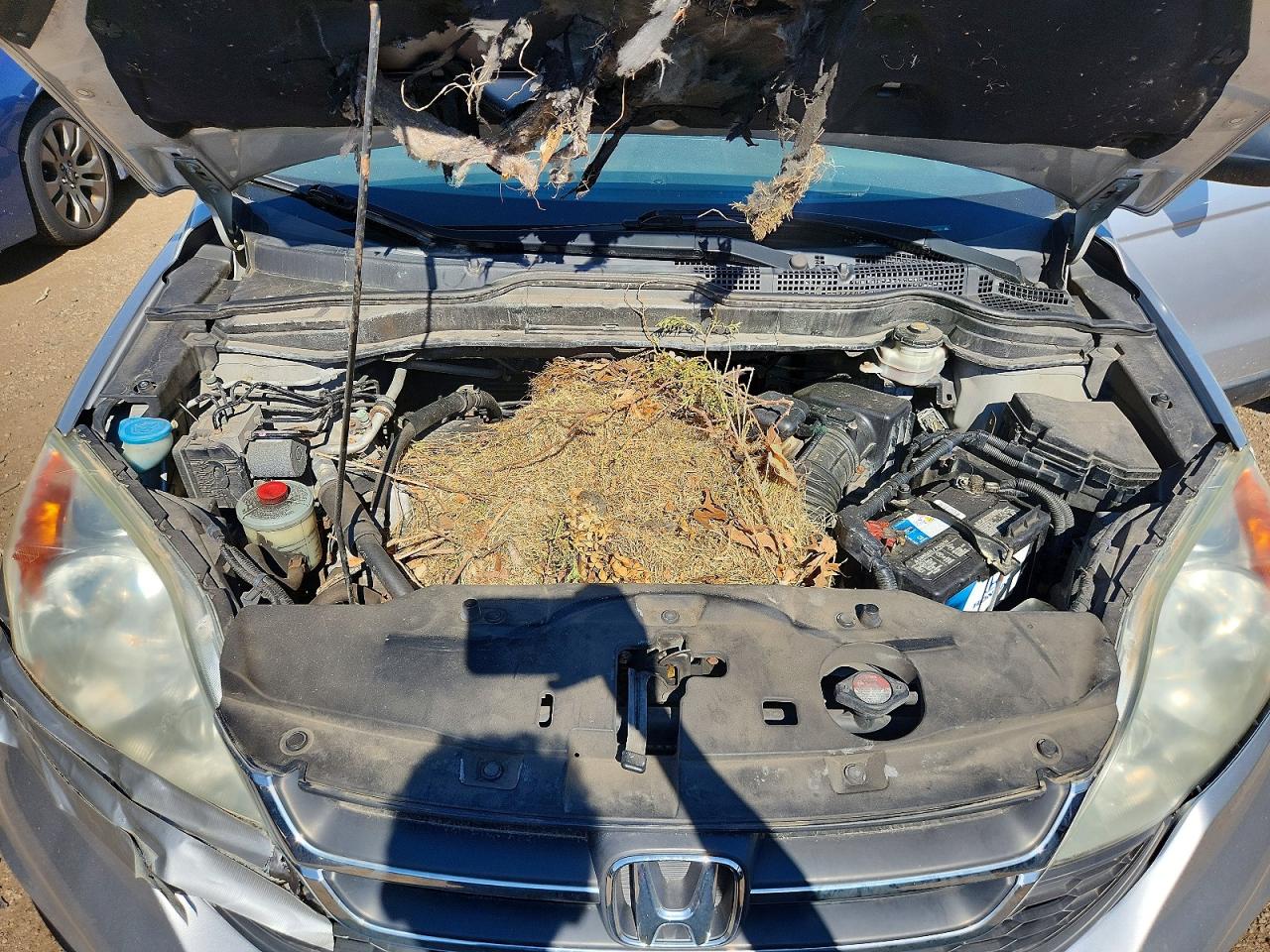Honda Crv