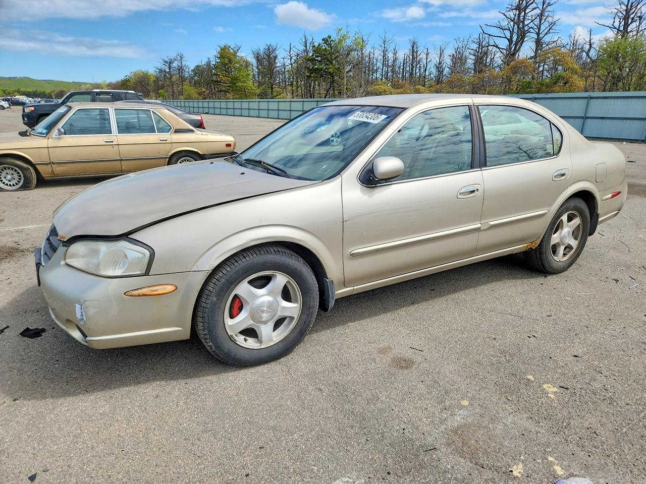 Salvage Nissan Maxima Image