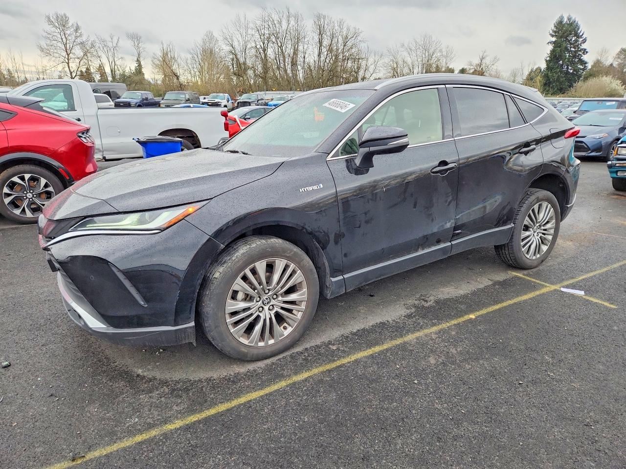 Salvage Toyota Venza Image