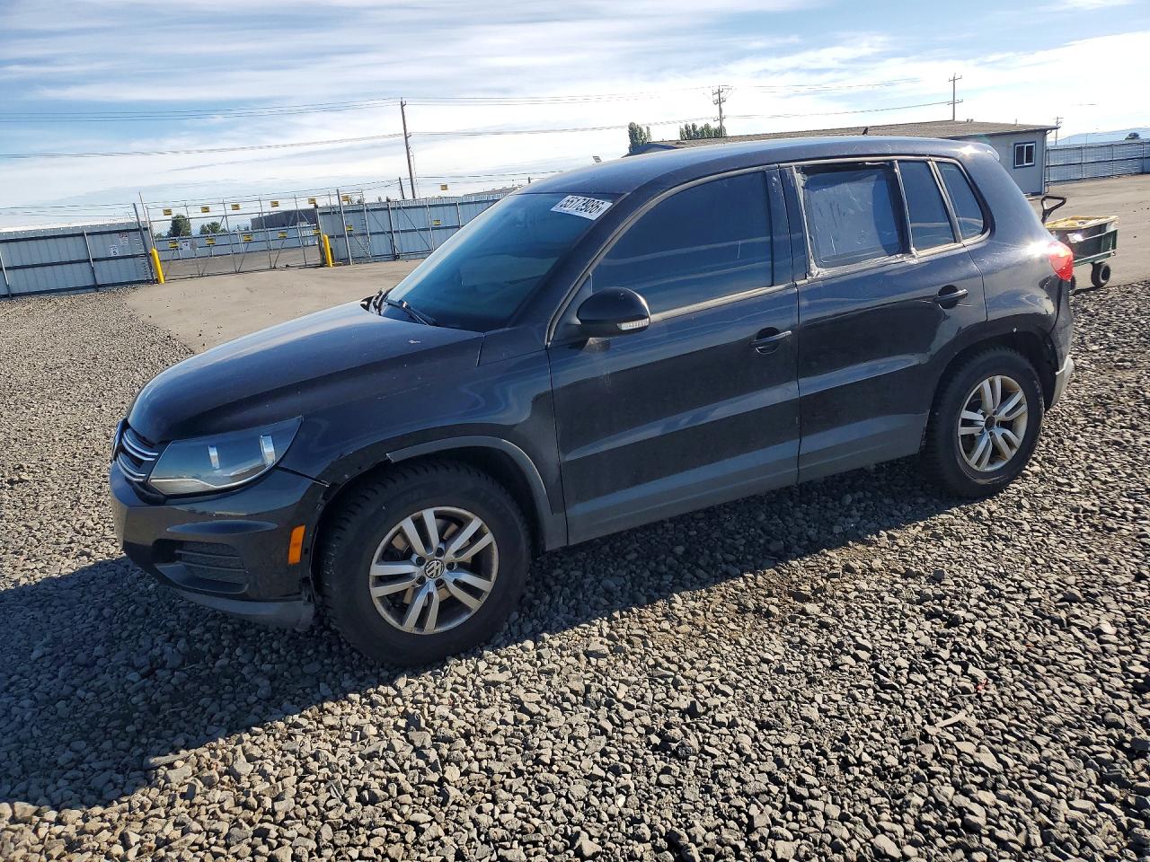 Salvage Volkswagen Tiguan Image