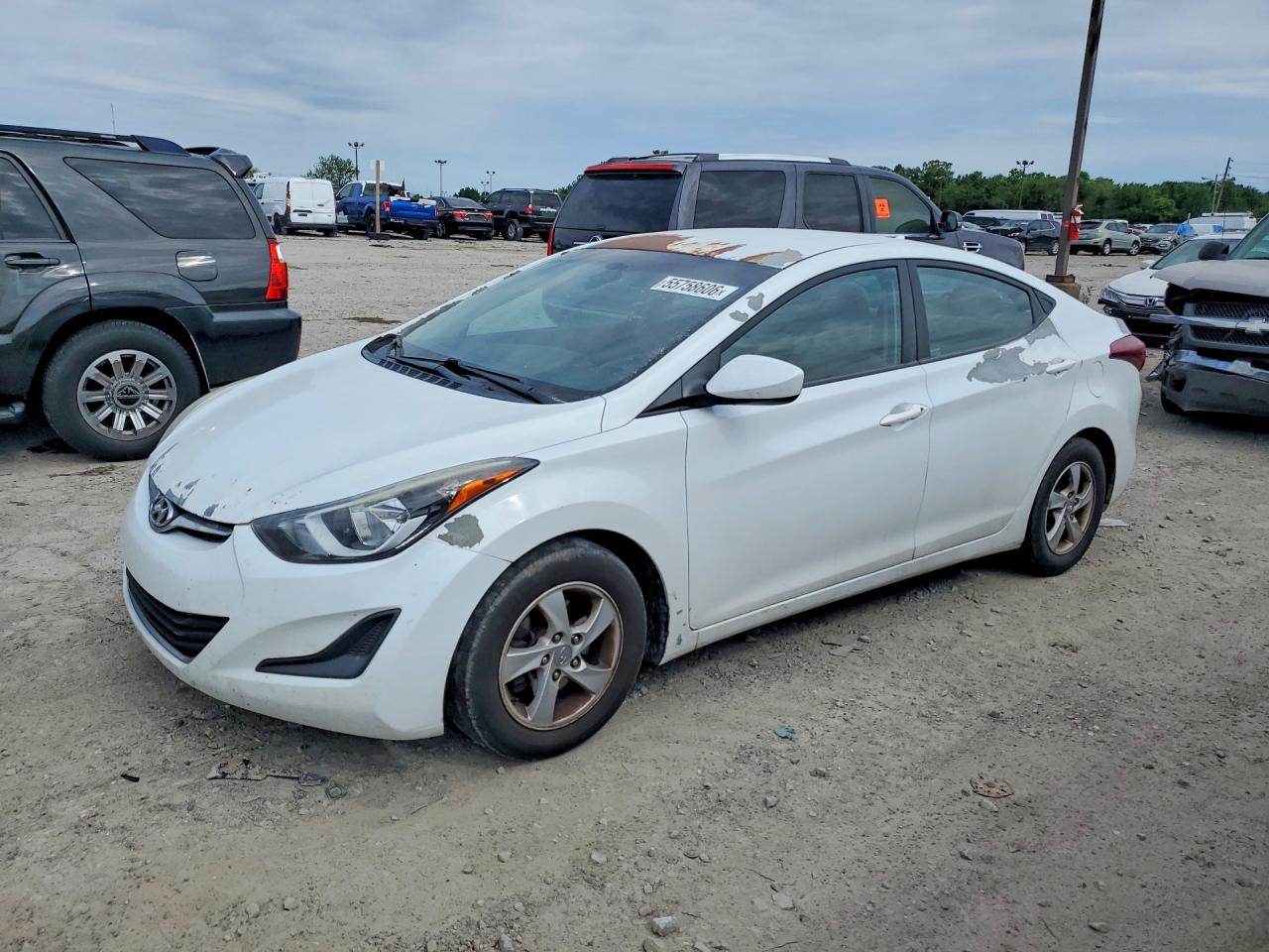 Salvage Hyundai ELANTRA Image