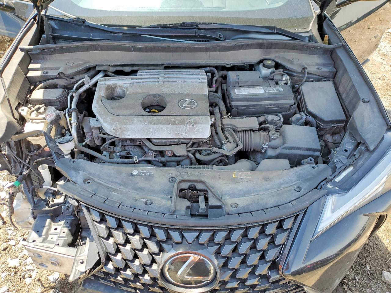 Lexus Other Base