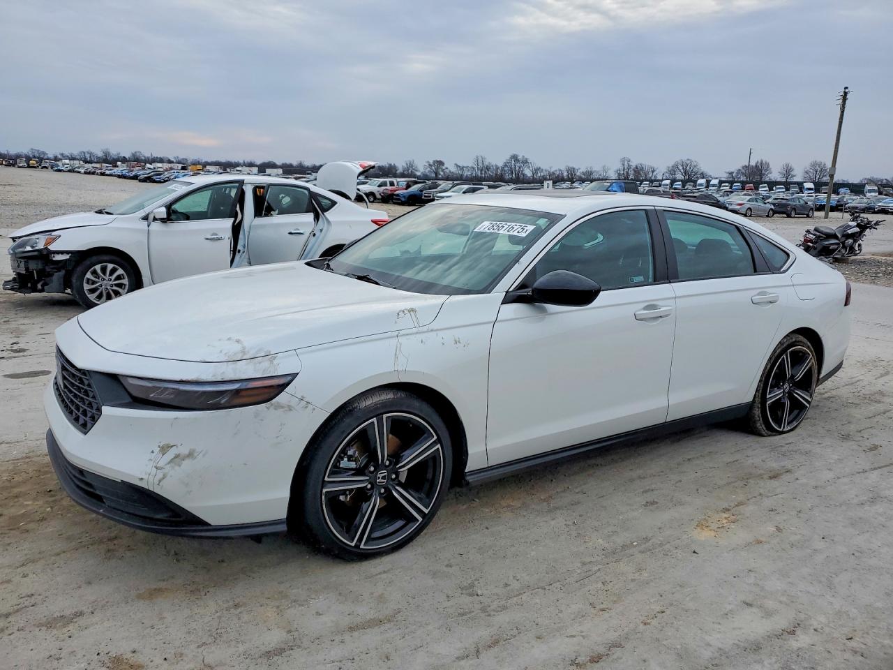 Salvage Honda Accord Image