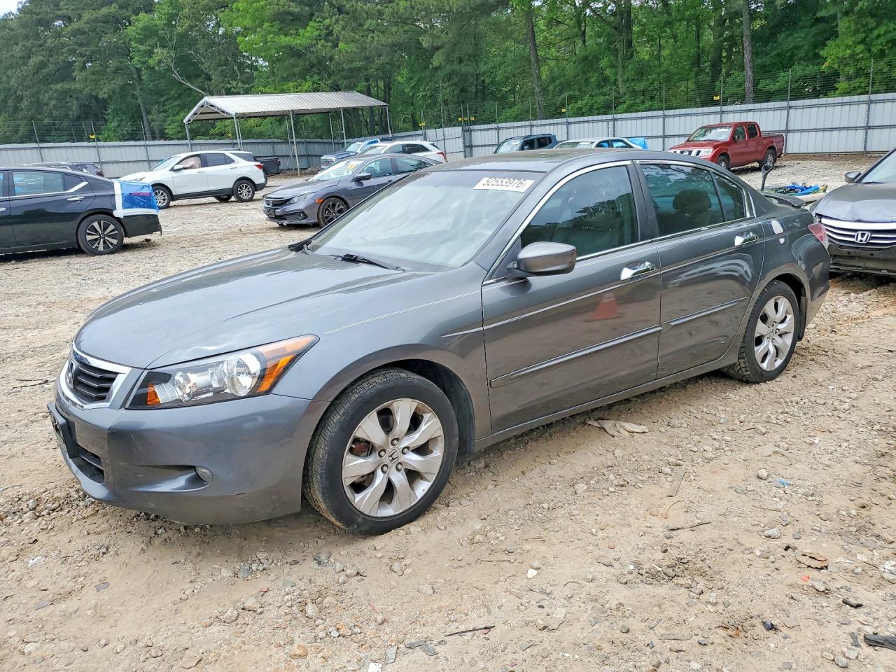 Salvage Honda Accord Image