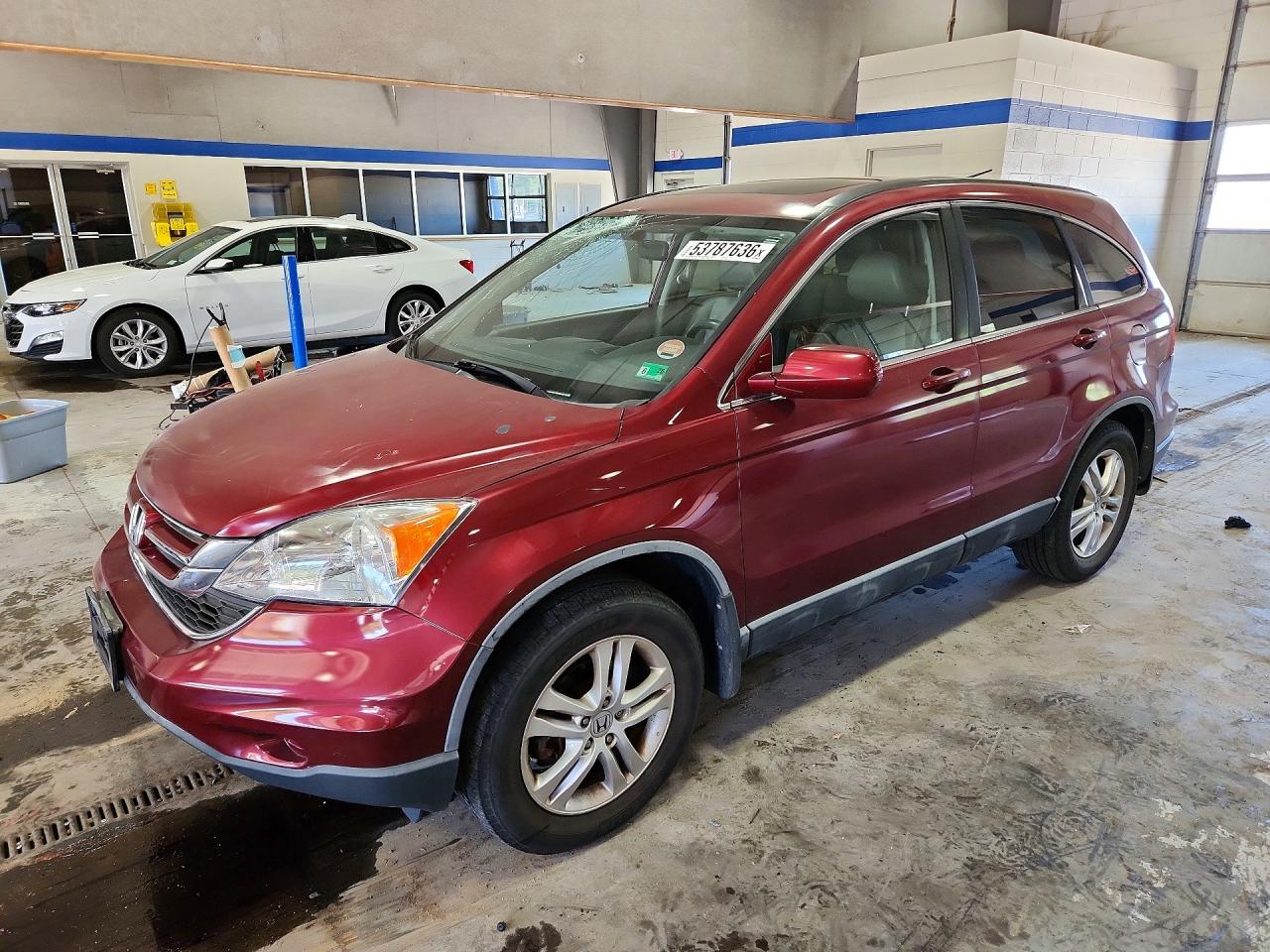 Salvage Honda Crv Image