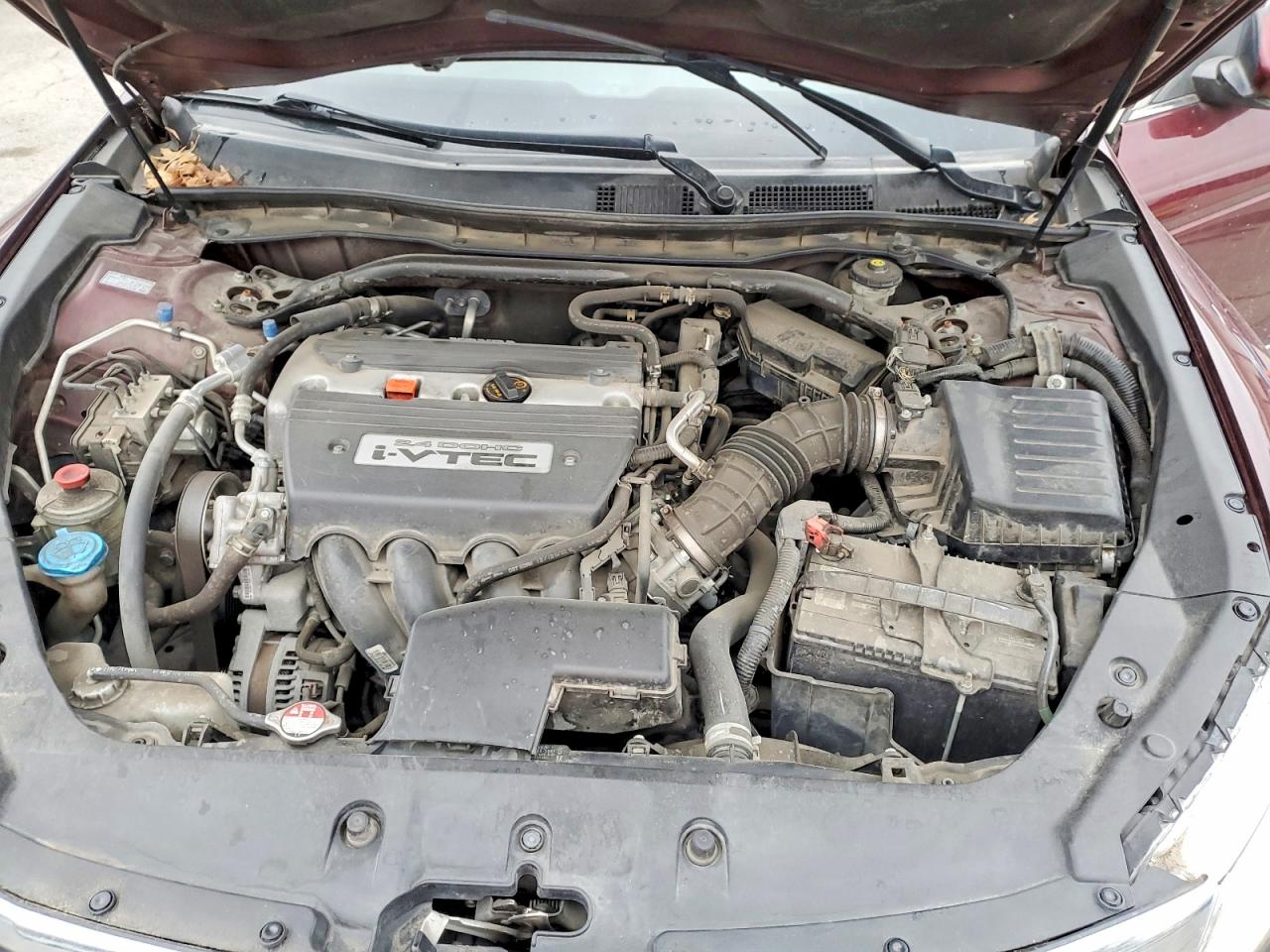 Honda Crosstour Ex