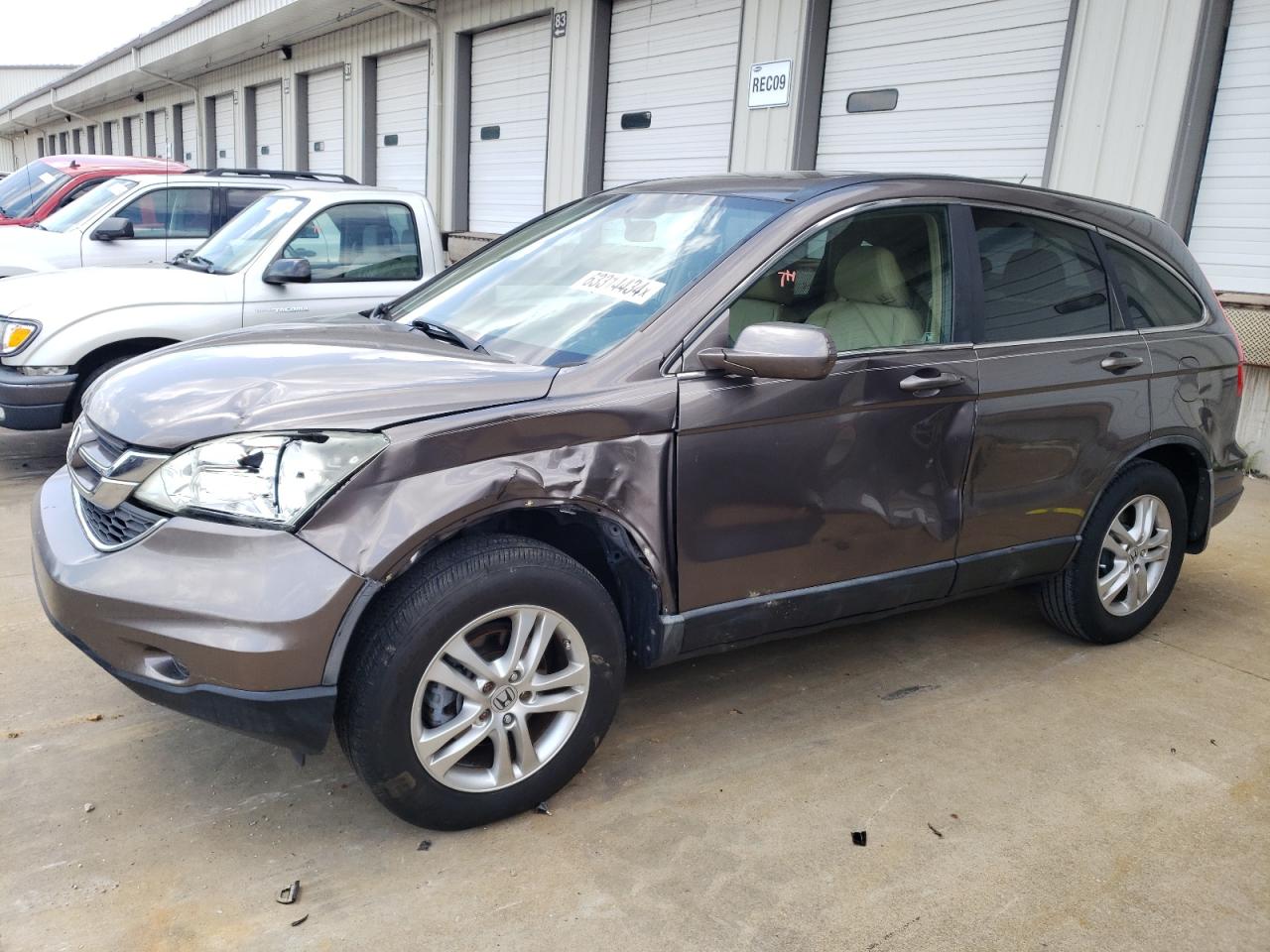 Salvage Honda Crv Image