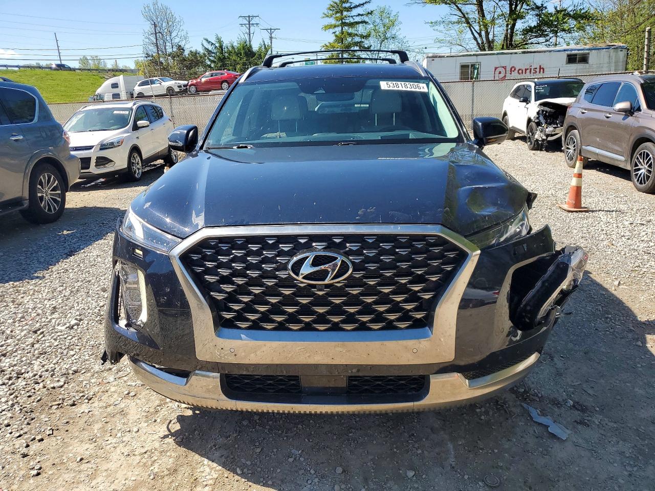 Hyundai PALISADE Calligraphy