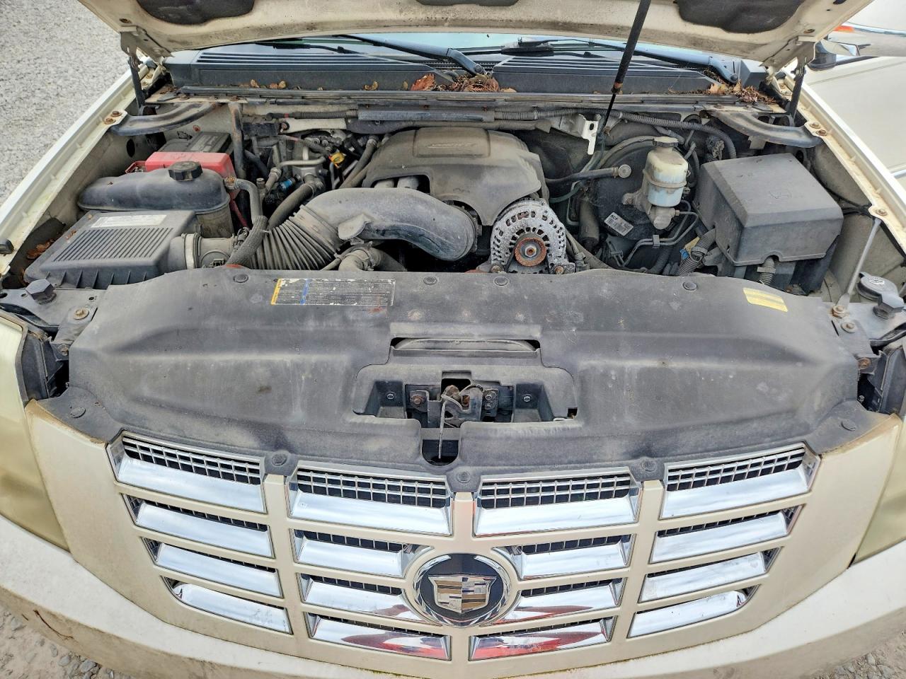 Cadillac Escalade Luxury