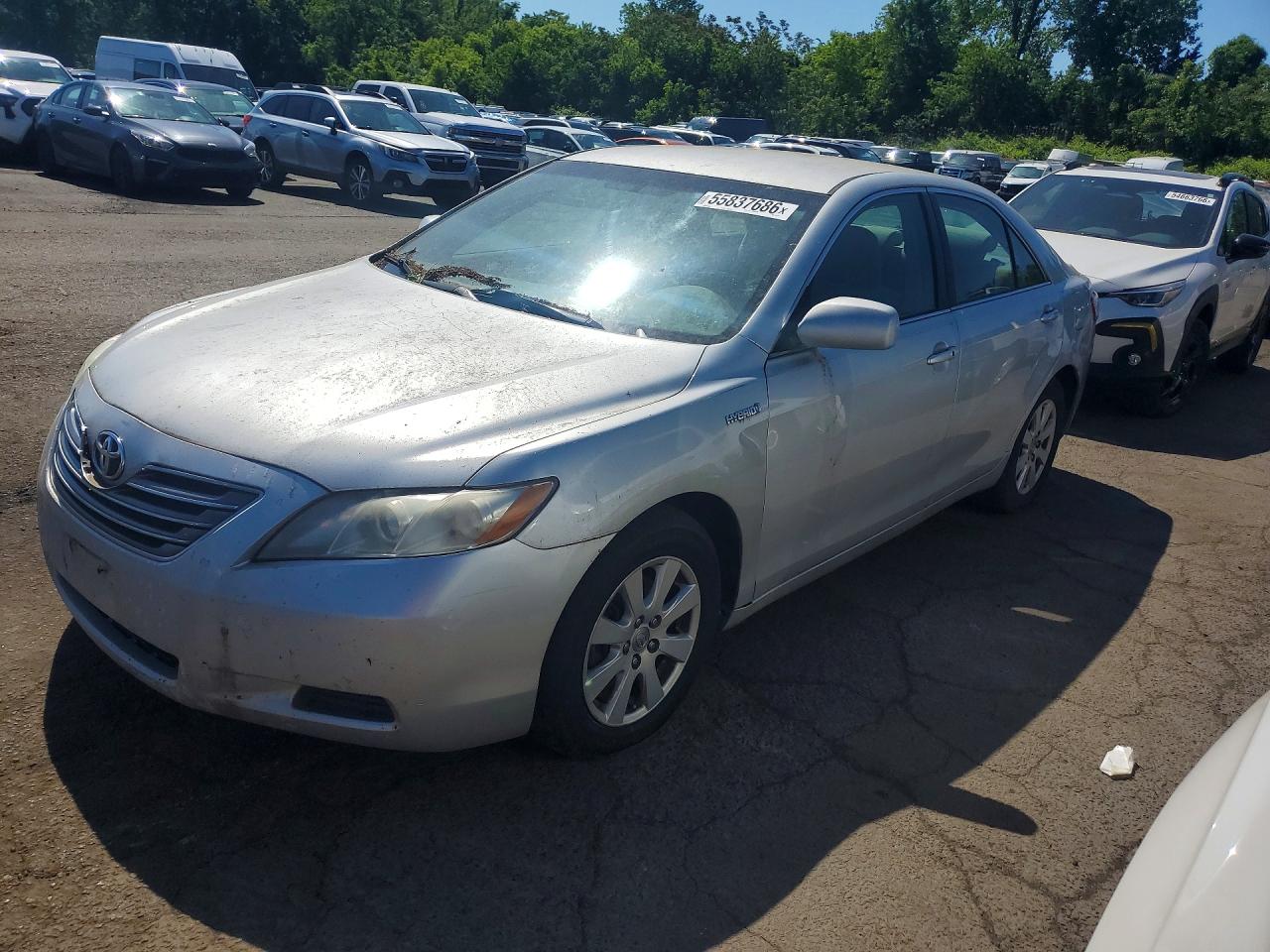 Salvage Toyota Camry Image