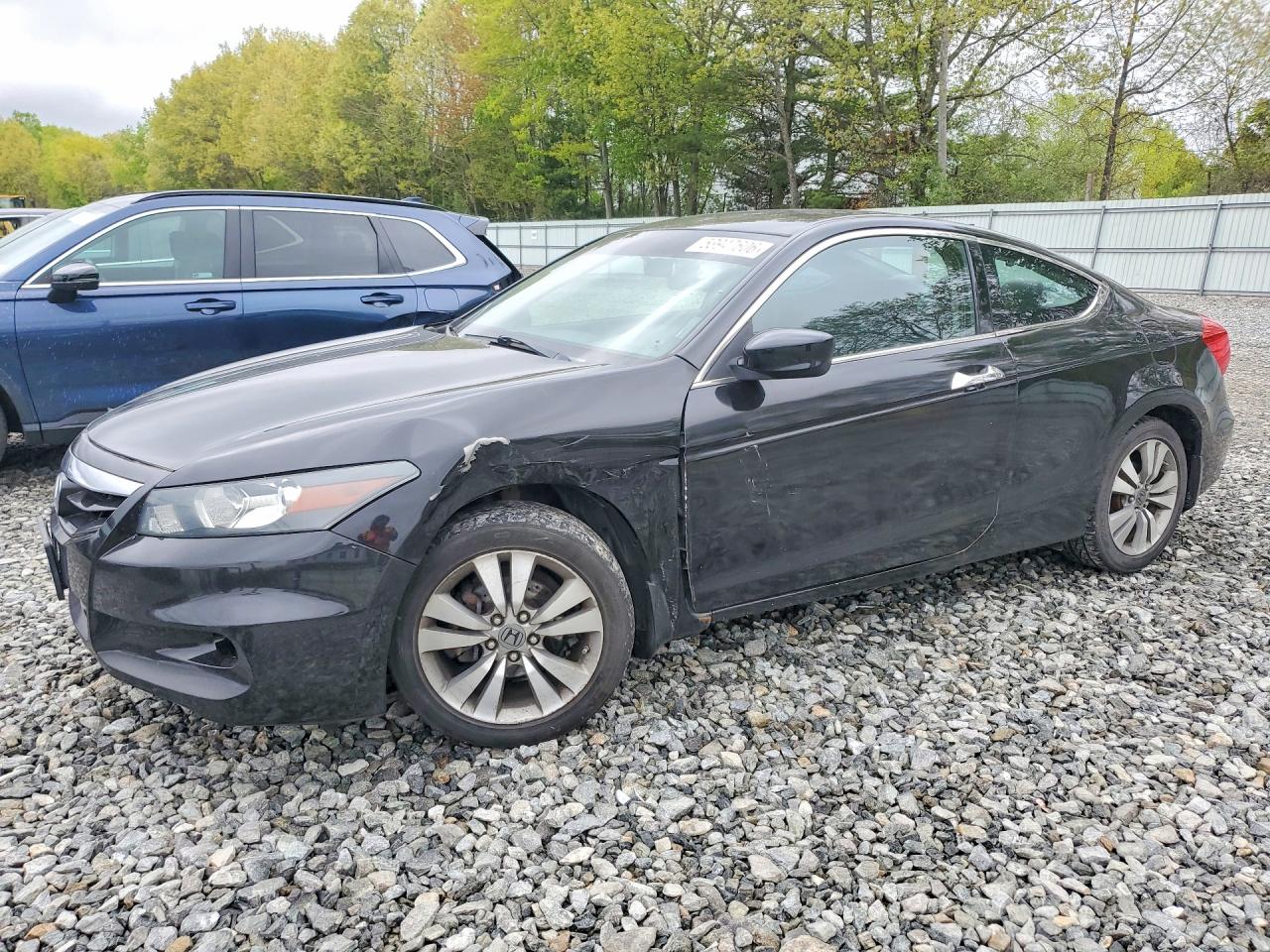 Salvage Honda Accord Image