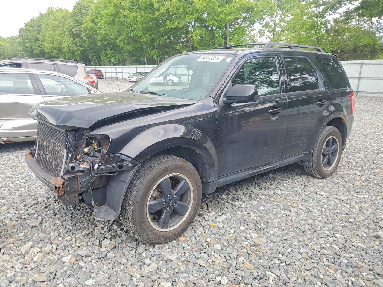 Salvage Ford Escape Image