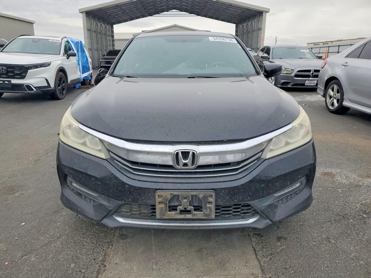 Honda Accord Sport