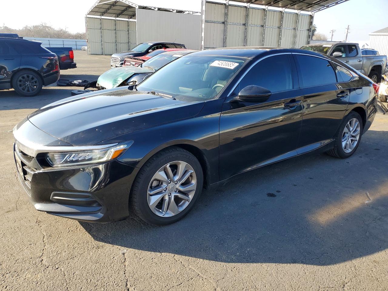 Salvage Honda Accord Image