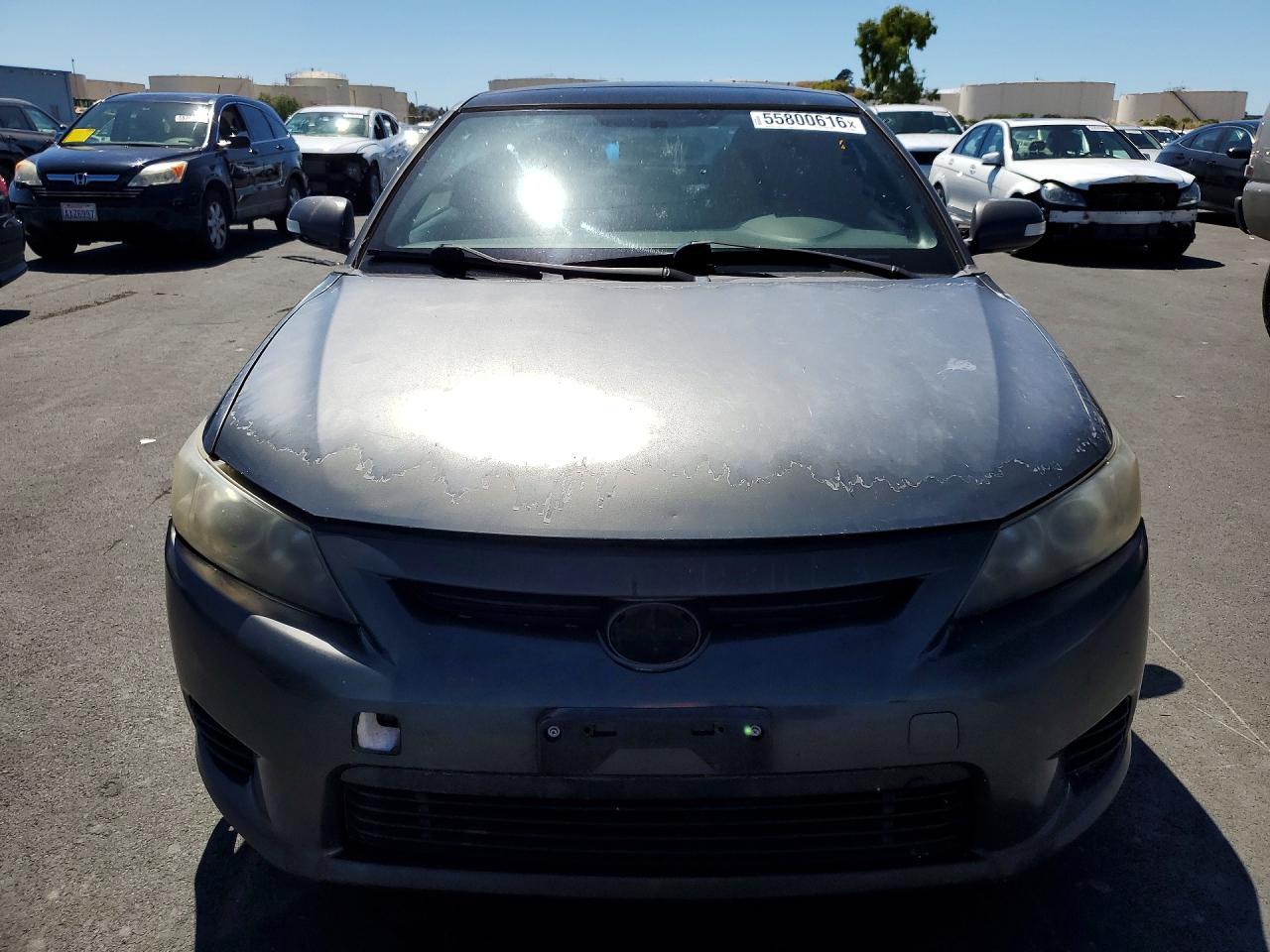Scion TC Base